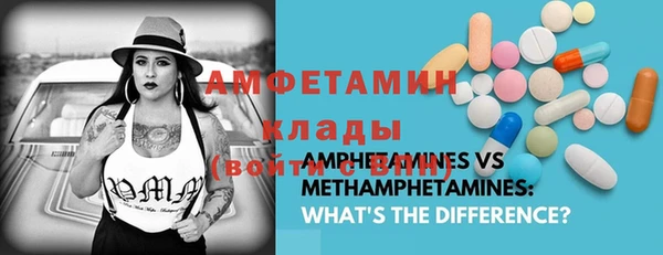 трава Абаза