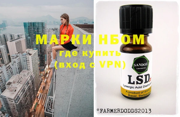 стафф Козловка