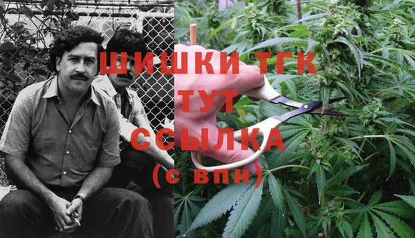 трава Абаза