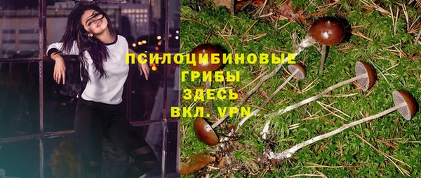 трава Абаза