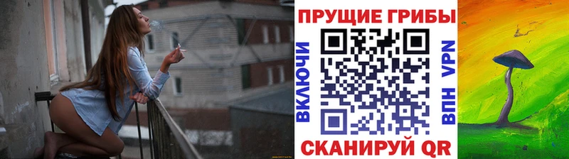 Псилоцибиновые грибы Magic Shrooms  Терек 